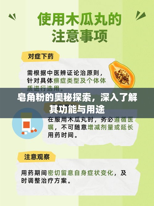 皂角粉的奧秘探索，深入了解其功能與用途