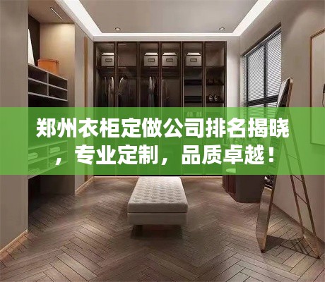 鄭州衣柜定做公司排名揭曉，專業(yè)定制，品質卓越！