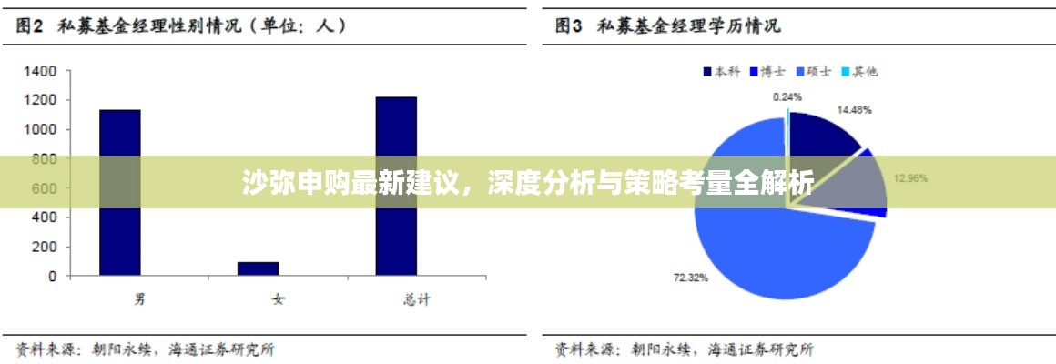 沙彌申購最新建議，深度分析與策略考量全解析