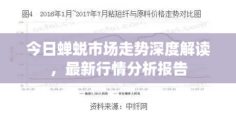 今日蟬蛻市場走勢深度解讀，最新行情分析報(bào)告