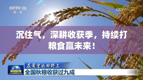 沉住氣，深耕收獲季，持續(xù)打糧食贏未來(lái)！