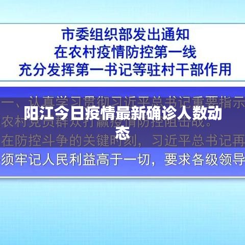 陽江今日疫情最新確診人數(shù)動(dòng)態(tài)