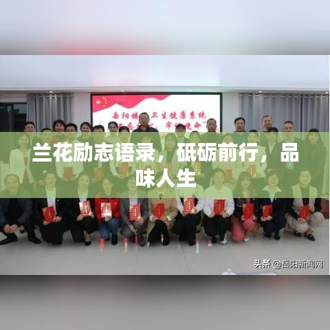 蘭花勵志語錄，砥礪前行，品味人生