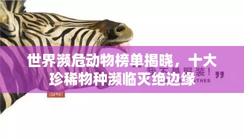 世界瀕危動物榜單揭曉，十大珍稀物種瀕臨滅絕邊緣