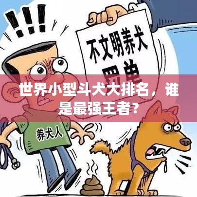 世界小型斗犬大排名，誰是最強(qiáng)王者？