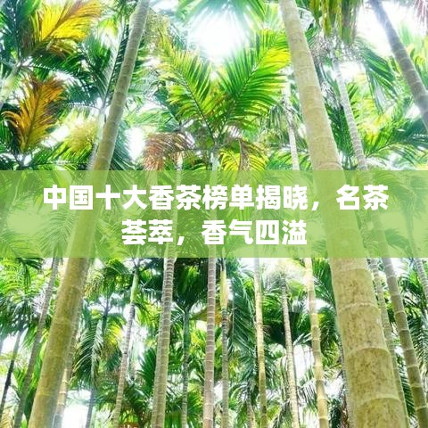 中國十大香茶榜單揭曉，名茶薈萃，香氣四溢