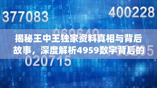 揭秘王中王獨(dú)家資料真相與背后故事，深度解析4959數(shù)字背后的秘密