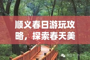 順義春日游玩攻略，探索春天美景，盡享愜意時光！