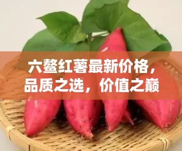 六鰲紅薯最新價(jià)格，品質(zhì)之選，價(jià)值之巔