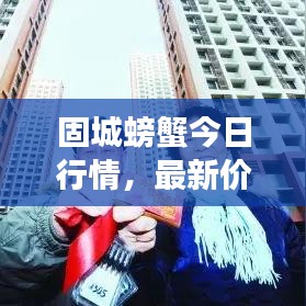 固城螃蟹今日行情，最新價格、市場走勢及影響因素深度解析