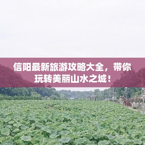 信陽最新旅游攻略大全，帶你玩轉(zhuǎn)美麗山水之城！