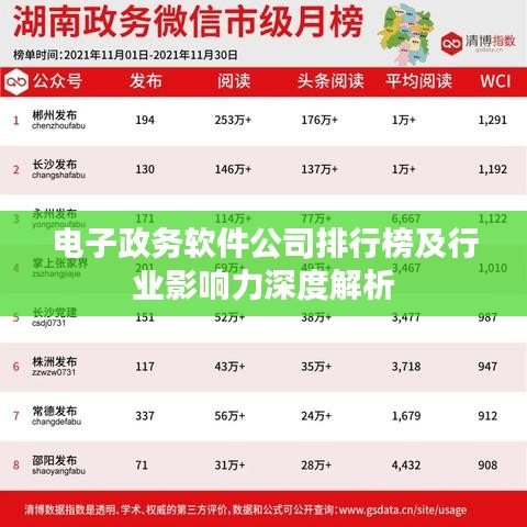 電子政務軟件公司排行榜及行業(yè)影響力深度解析