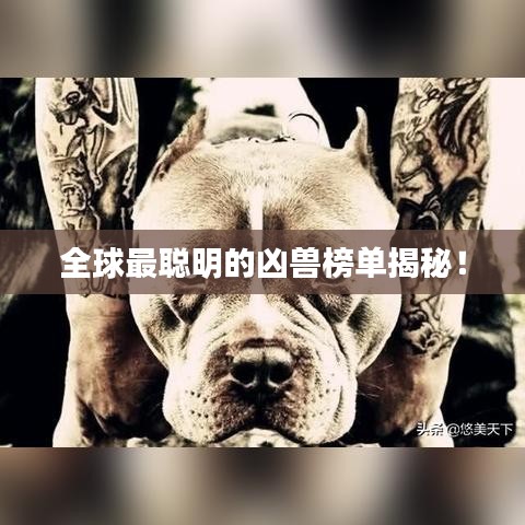 全球最聰明的兇獸榜單揭秘！