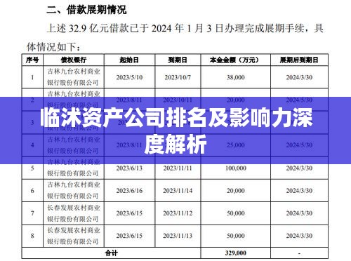 臨沭資產公司排名及影響力深度解析