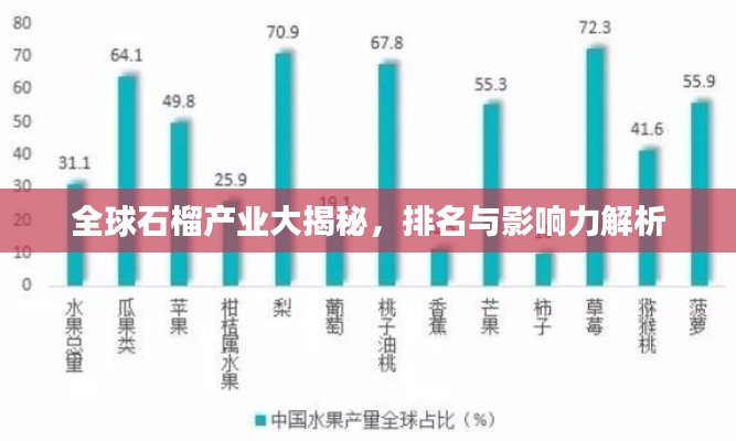 全球石榴產(chǎn)業(yè)大揭秘，排名與影響力解析