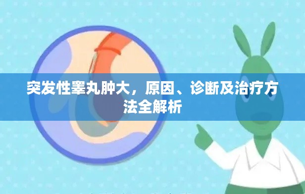 突發(fā)性睪丸腫大，原因、診斷及治療方法全解析