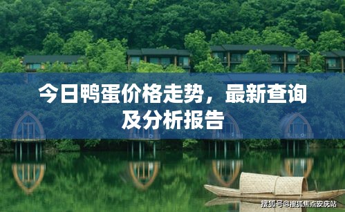 今日鴨蛋價格走勢，最新查詢及分析報告