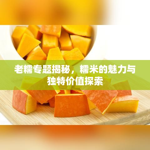 老糯專題揭秘，糯米的魅力與獨(dú)特價(jià)值探索