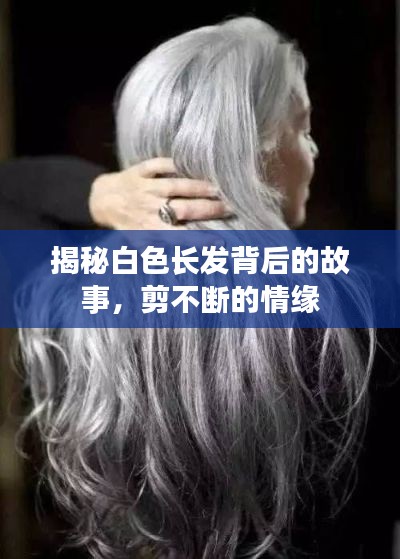 揭秘白色長發(fā)背后的故事，剪不斷的情緣