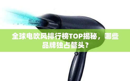 全球電吹風(fēng)排行榜TOP揭秘，哪些品牌獨(dú)占鰲頭？