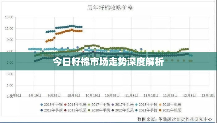 今日籽棉市場(chǎng)走勢(shì)深度解析