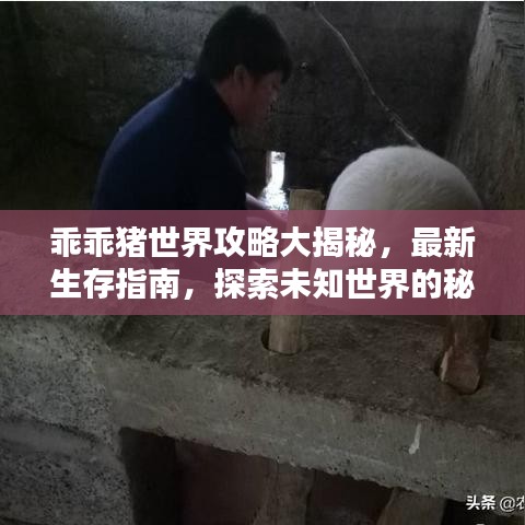 乖乖豬世界攻略大揭秘，最新生存指南，探索未知世界的秘訣