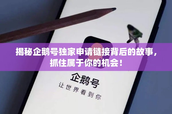 揭秘企鵝號獨家申請鏈接背后的故事，抓住屬于你的機會！