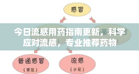 今日流感用藥指南更新，科學應對流感，專業(yè)推薦藥物