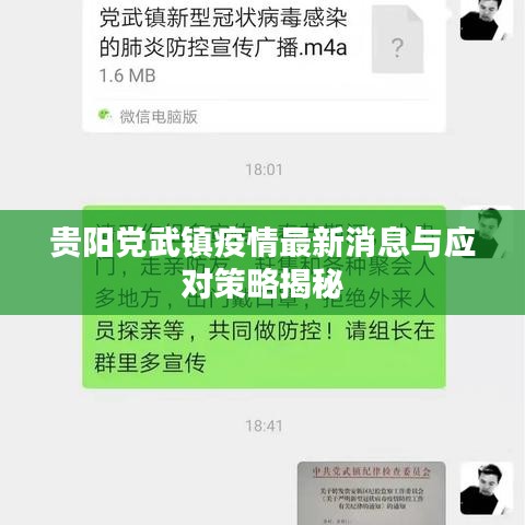 貴陽黨武鎮(zhèn)疫情最新消息與應對策略揭秘