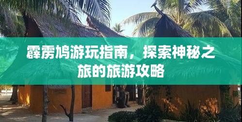 霹靂鳩游玩指南，探索神秘之旅的旅游攻略