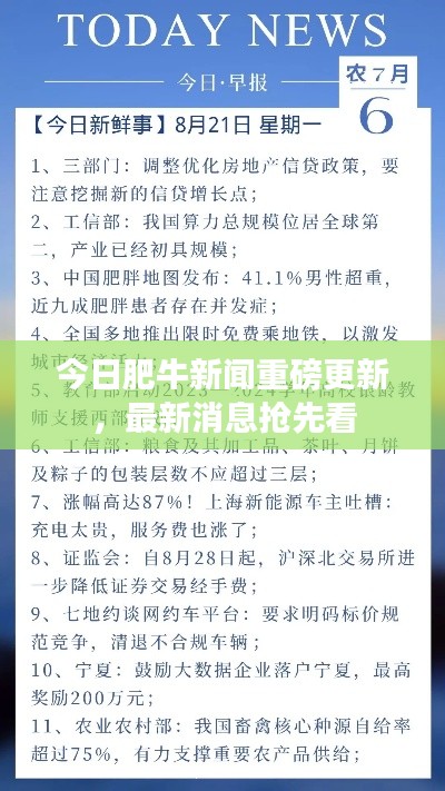 今日肥牛新聞重磅更新，最新消息搶先看