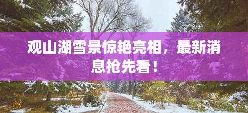 觀山湖雪景驚艷亮相，最新消息搶先看！