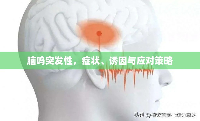 腦鳴突發(fā)性，癥狀、誘因與應對策略