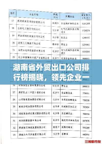 湖南省外貿(mào)出口公司排行榜揭曉，領先企業(yè)一覽