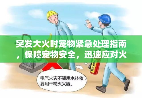 突發(fā)大火時寵物緊急處理指南，保障寵物安全，迅速應對火災！