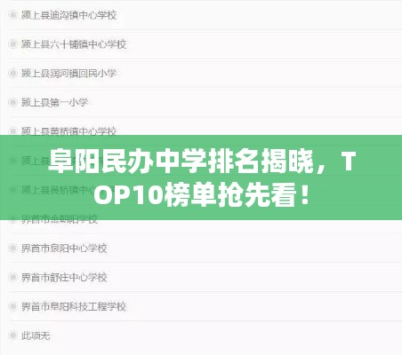 阜陽民辦中學排名揭曉，TOP10榜單搶先看！