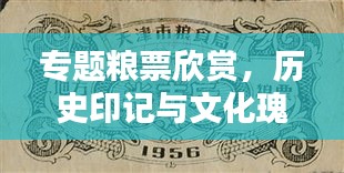 專題糧票欣賞，歷史印記與文化瑰寶的獨特魅力