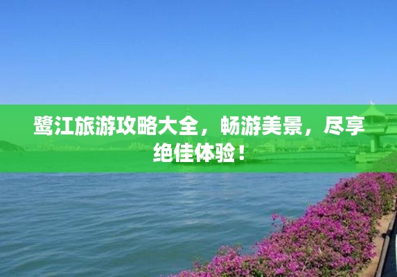 鷺江旅游攻略大全，暢游美景，盡享絕佳體驗！