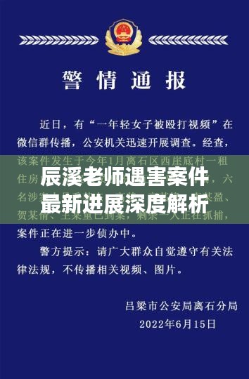 辰溪老師遇害案件最新進(jìn)展深度解析，事件視頻曝光與影響探究