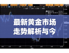 最新黃金市場走勢解析與今日金價(jià)匯總表呈現(xiàn)