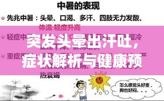 突發(fā)頭暈出汗吐，癥狀解析與健康預(yù)警提示