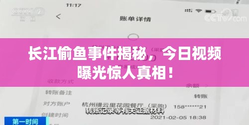 長江偷魚事件揭秘，今日視頻曝光驚人真相！