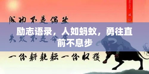 勵(lì)志語錄，人如螞蟻，勇往直前不息步