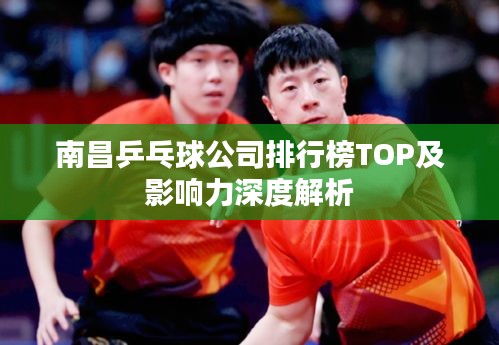 南昌乒乓球公司排行榜TOP及影響力深度解析