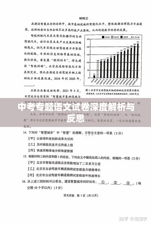 中考專題語文試卷深度解析與反思