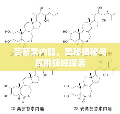 蕓苔素內(nèi)酯，奧秘揭秘與應(yīng)用領(lǐng)域探索