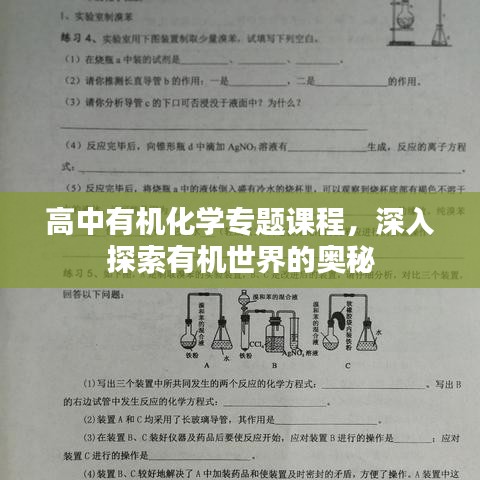 高中有機化學(xué)專題課程，深入探索有機世界的奧秘