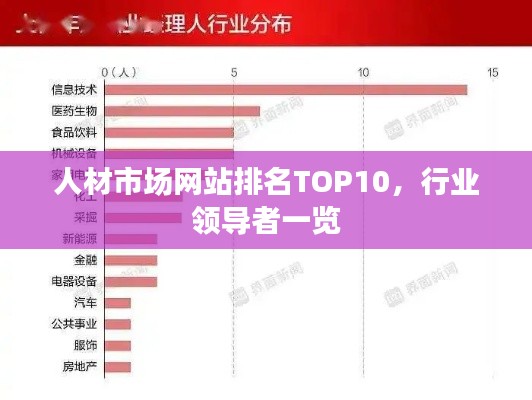 人材市場網(wǎng)站排名TOP10，行業(yè)領(lǐng)導(dǎo)者一覽