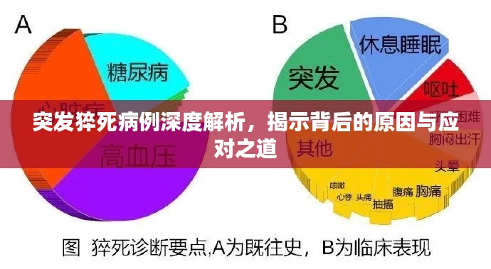 突發(fā)猝死病例深度解析，揭示背后的原因與應(yīng)對(duì)之道