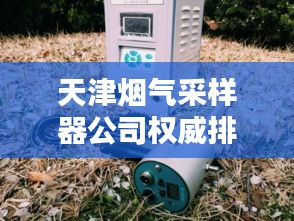 天津煙氣采樣器公司權威排行榜揭曉！